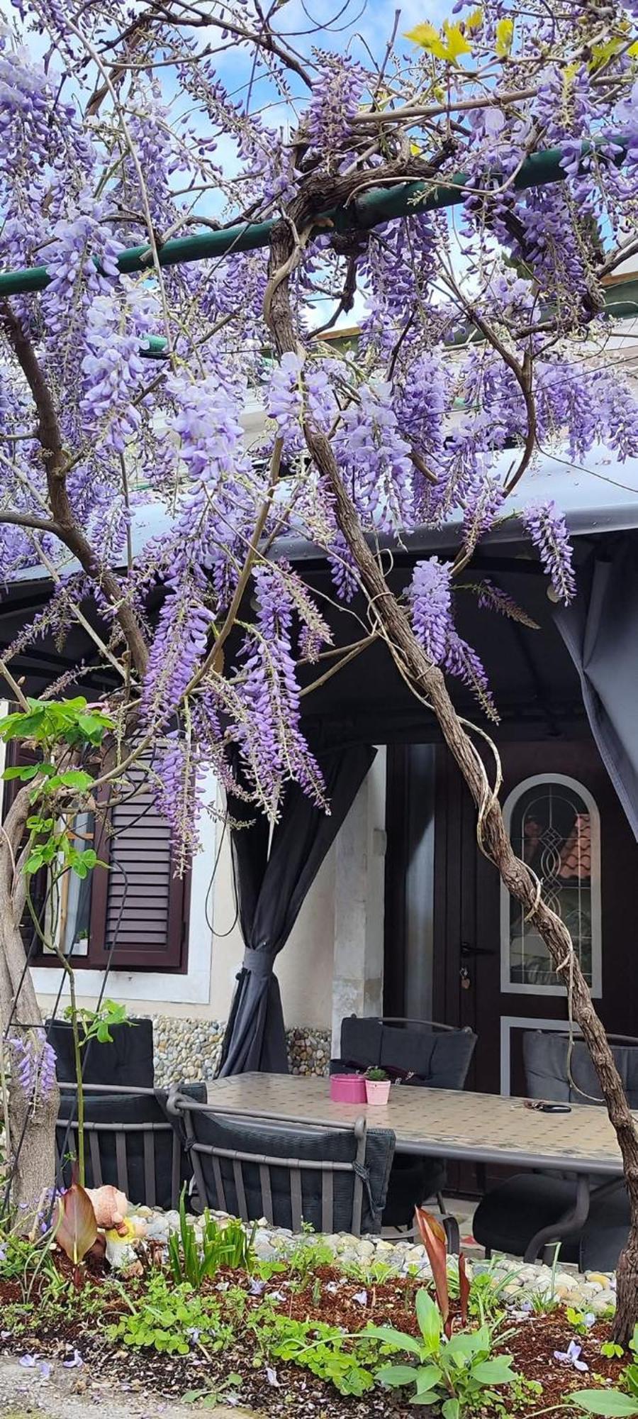 רייקה Holiday Home Inga With Free Private Parking מראה חיצוני תמונה