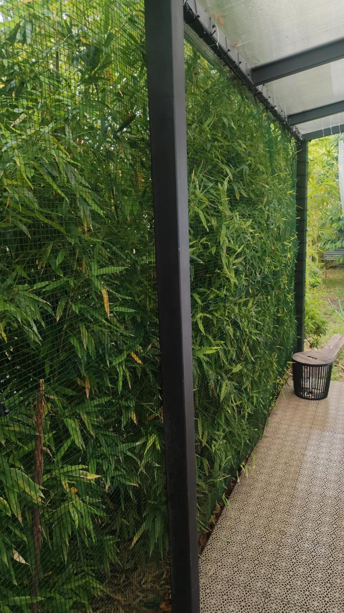 רייקה Holiday Home Inga With Free Private Parking מראה חיצוני תמונה